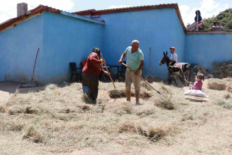 Konya’da Geleneksel Düvenle Saman Üretimi Sürdürülüyor