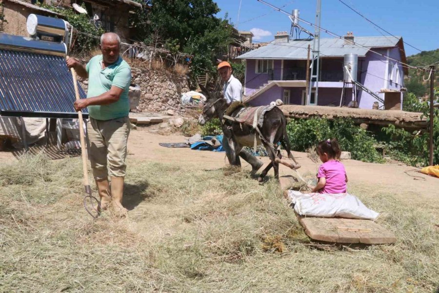 Konya’da Geleneksel Düvenle Saman Üretimi Sürdürülüyor