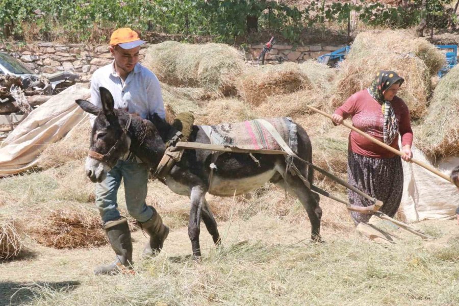 Konya’da Geleneksel Düvenle Saman Üretimi Sürdürülüyor