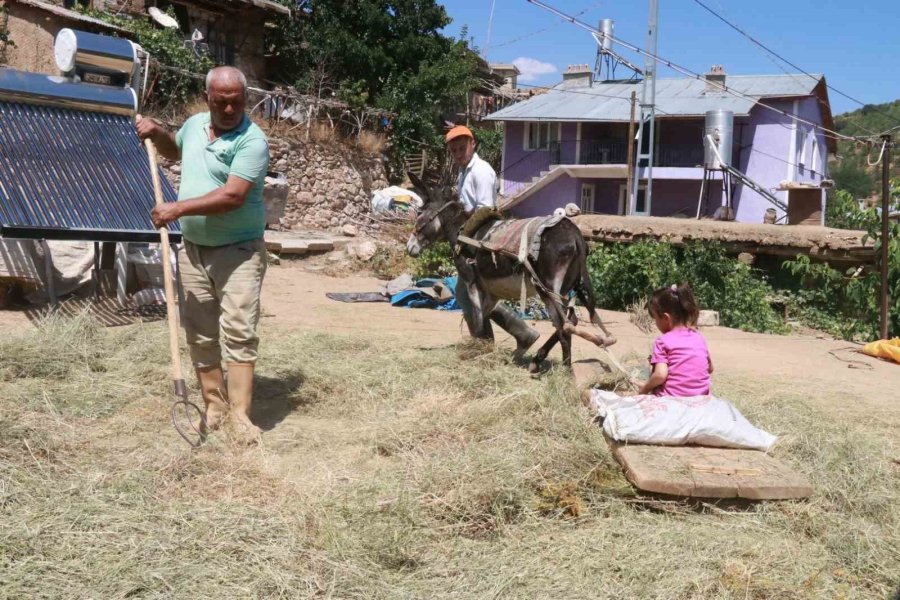 Konya’da Geleneksel Düvenle Saman Üretimi Sürdürülüyor