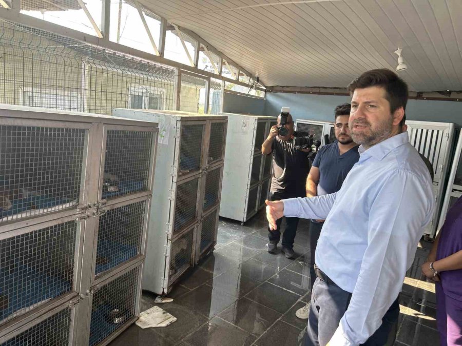 Boltaç, "hayvan Barınağımız Bölgemizin En Donanımlı Rehabilitasyon Ve Bakım Merkezlerinden Biridir"