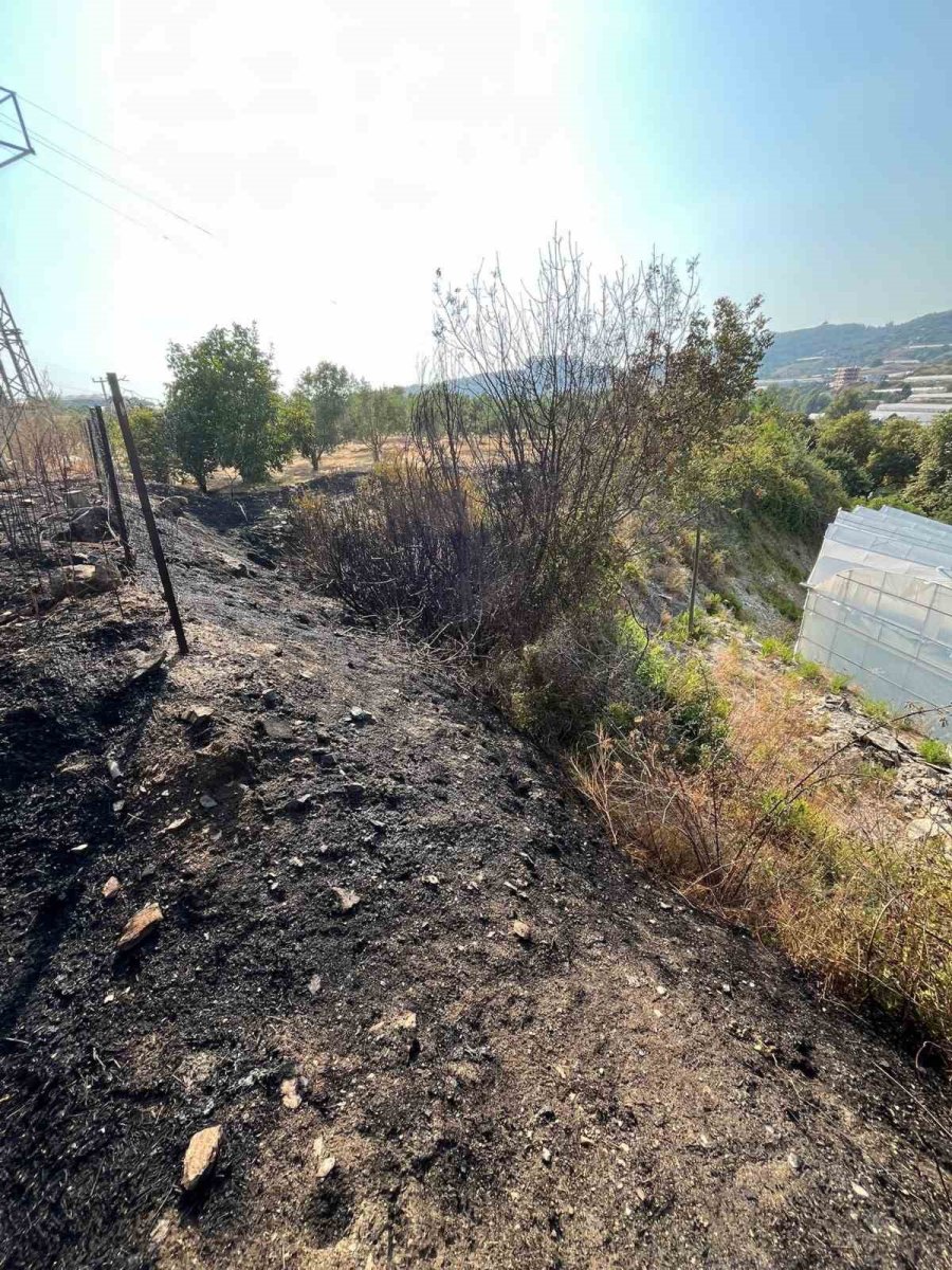 Alanya’da Otluk Alanda Çıkan Yangın Büyümeden Söndürüldü