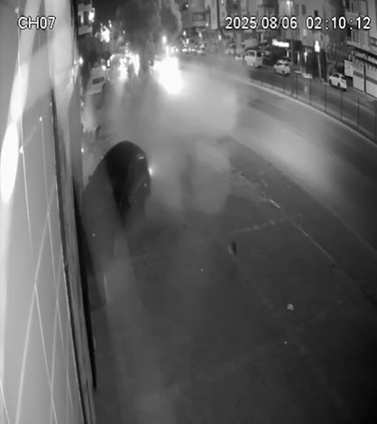 Antalya’da Alkollü Sürücü Önce Ağaca, Sonra İş Yerinin Camına Çarptı