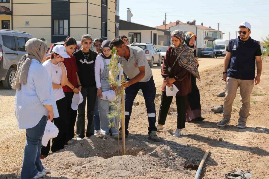 Meramlı Gençlerden Anlamlı Fidan Dikim Etkinliği