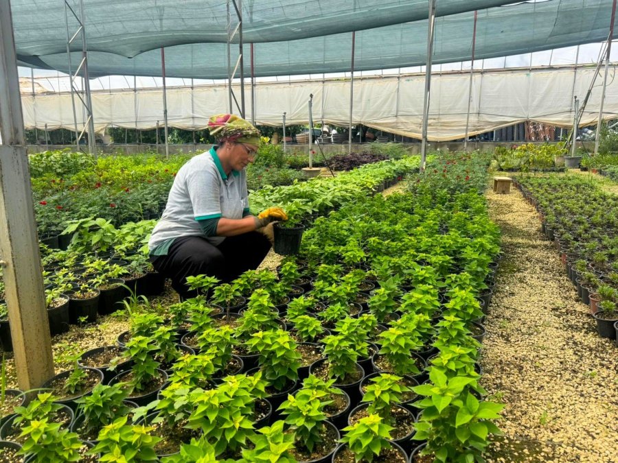 Alanya Belediyesi’nde Kadınlar Sahada