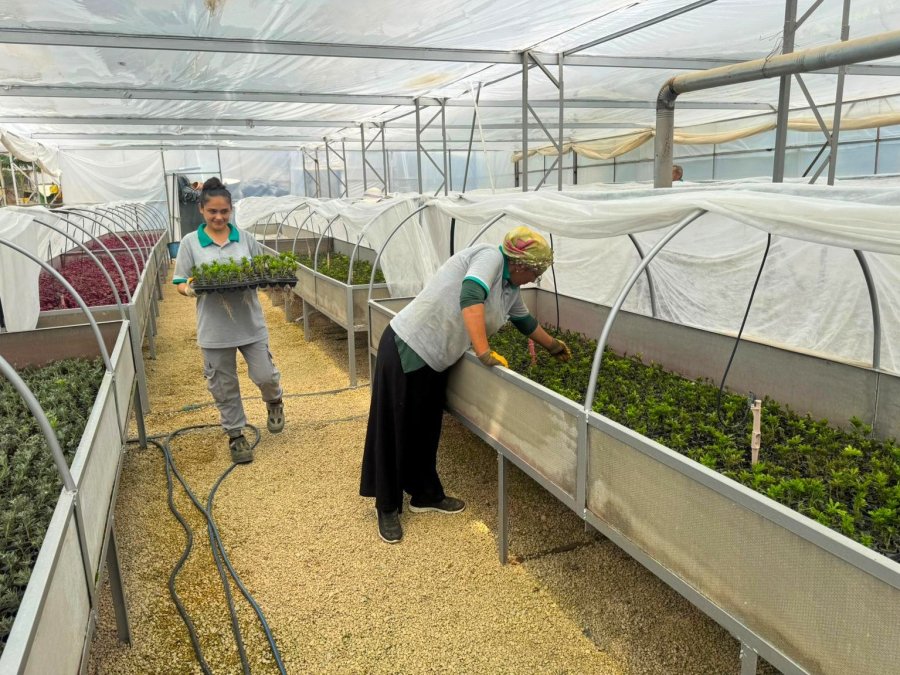 Alanya Belediyesi’nde Kadınlar Sahada