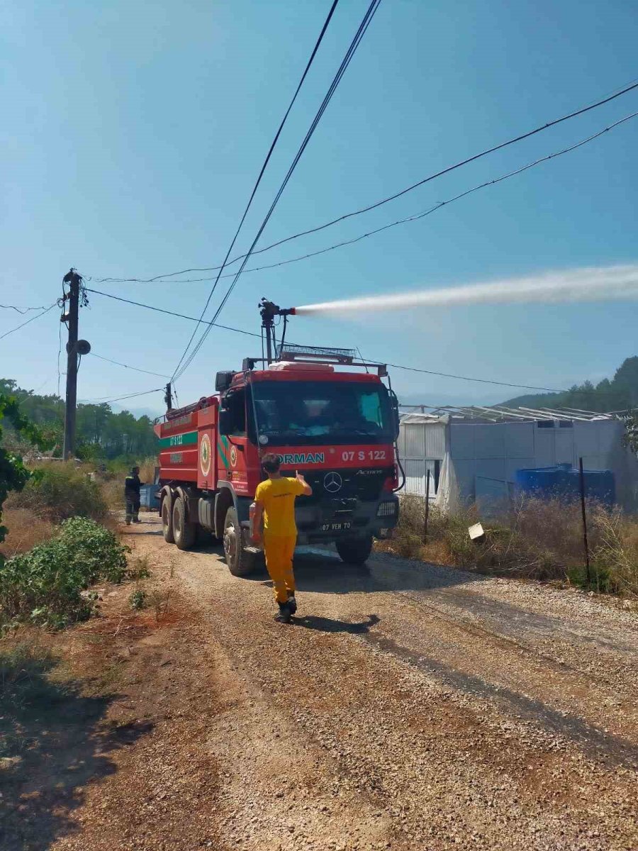 Kumluca’da Çıkan Yangında Bir Dönüm Zeytinlik Alan Yandı