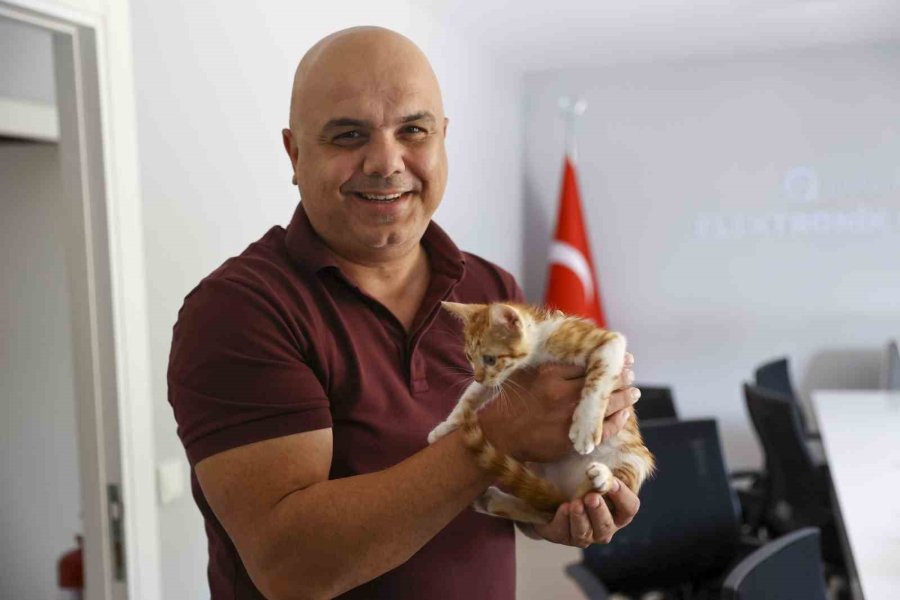 Çaya Düşüp Hayatta Kalma Mücadelesi Veren Yavru Kediyi Ekipler Kurtardı