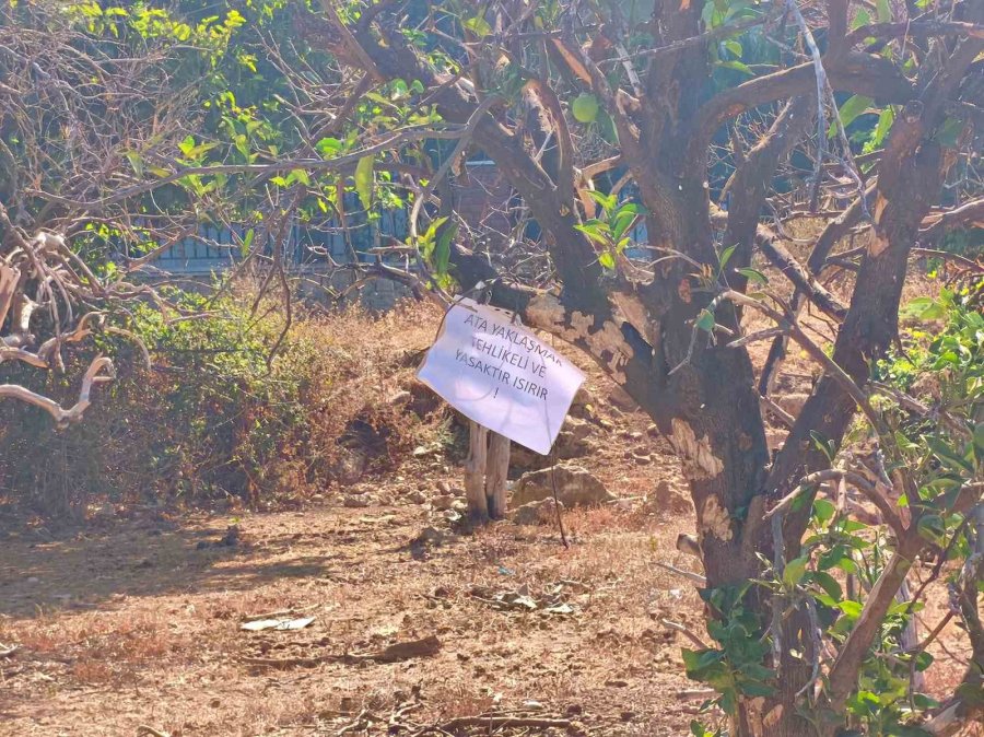 Attan Beklenmedik Hareket: Babasının Kucağındaki Çocuğu Isırarak Alıp Havaya Fırlattı