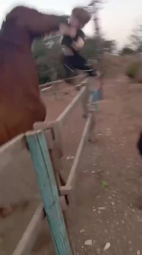 Attan Beklenmedik Hareket: Babasının Kucağındaki Çocuğu Isırarak Alıp Havaya Fırlattı