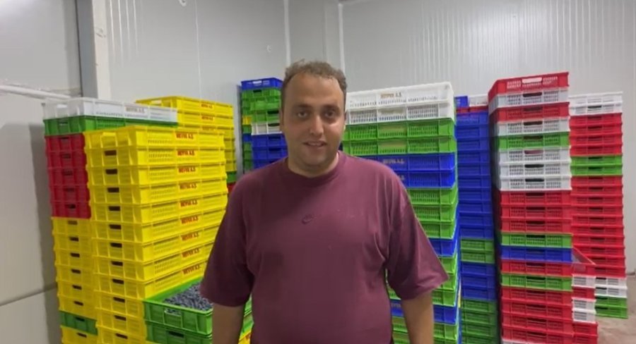 Küçük Bir Kasabadan Büyük Bir Pazara: Elmalı’nın Mavi Altını Yaban Mersini