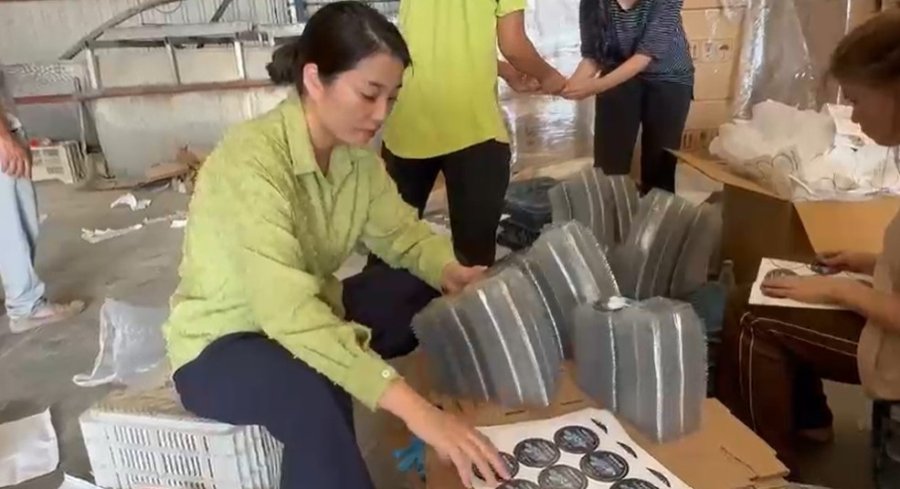 Küçük Bir Kasabadan Büyük Bir Pazara: Elmalı’nın Mavi Altını Yaban Mersini