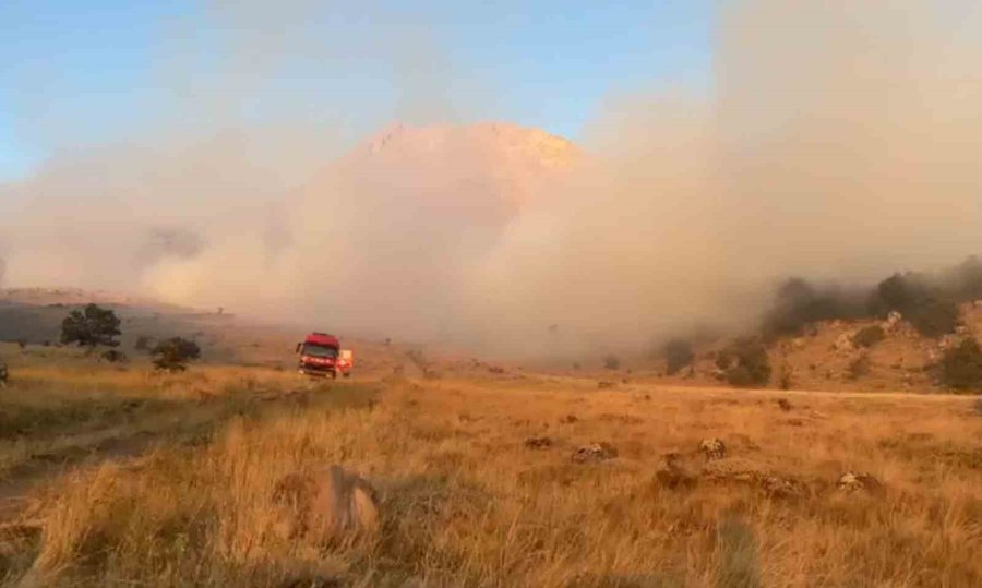 Aksaray’da Ağaçlık Alanda Yangın