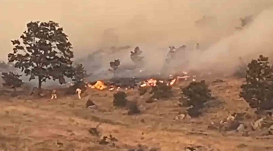 Aksaray’da Ağaçlık Alanda Yangın