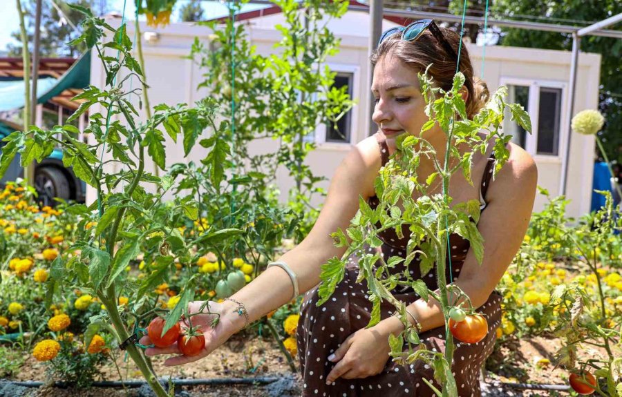 Büyükşehirden Kadınlara Üretim Desteği