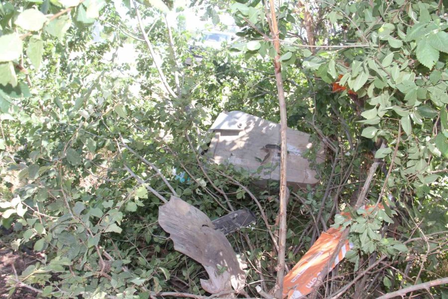 Hafif Ticari Araç Önce Ağaca Sonra Direğe Çarptı: 5 Yaralı