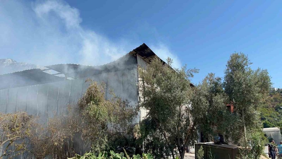 Alanya’da Mobilya Atölyesinin Kundaklandığı Anlar Güvenlik Kamerasında