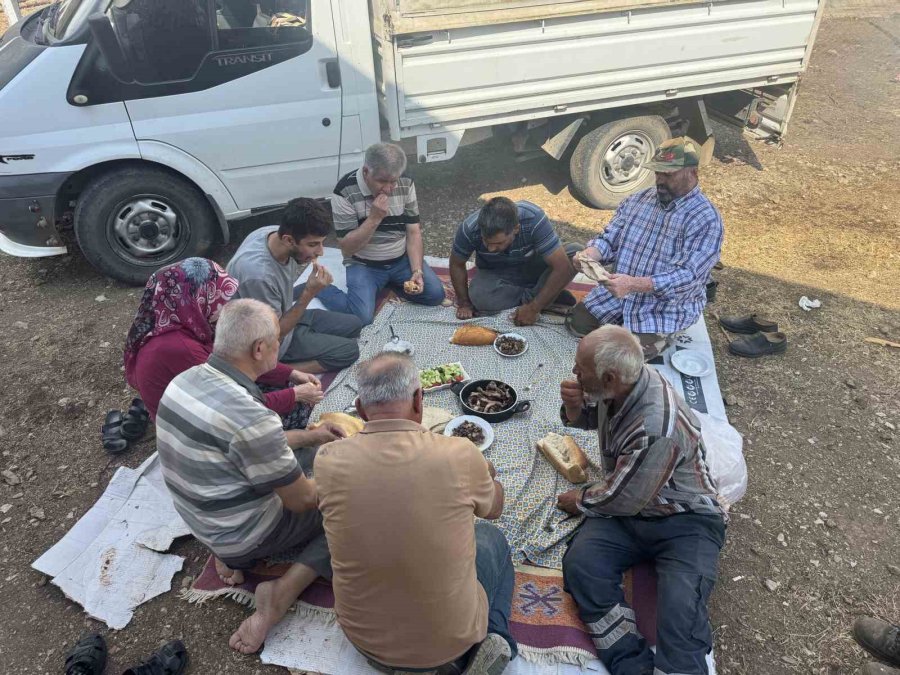 Antalya’da Yüzyıllardır Süren Yörük Kültürü ’keçi Kıl Kırkımı’