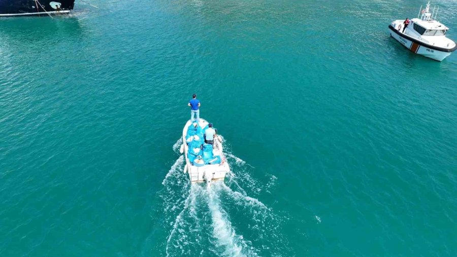 Balıkçı Barınağında Dip Temizliği: 2 Ton Çöp Çıkartıldı