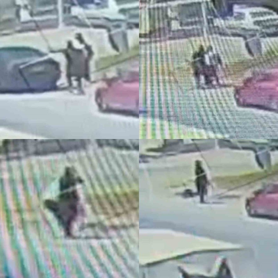 O Anlar Kamerada: Yol Kenarında Kadın Arkadaşını Öldürüp İntihara Teşebbüs Etti