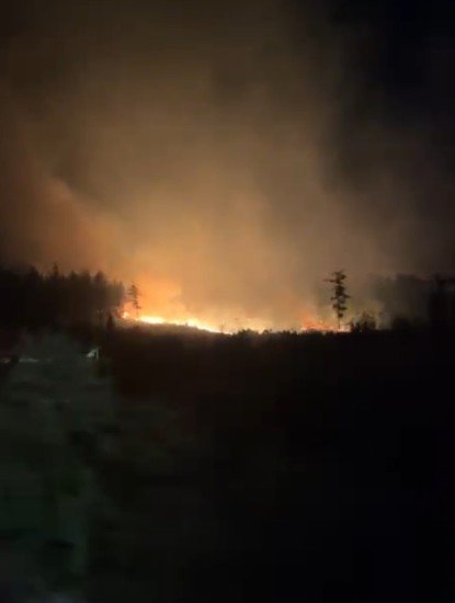 Serik’te Tarım Arazisinden Ormana Sıçrayan Yangın 5 Saatte Söndürüldü