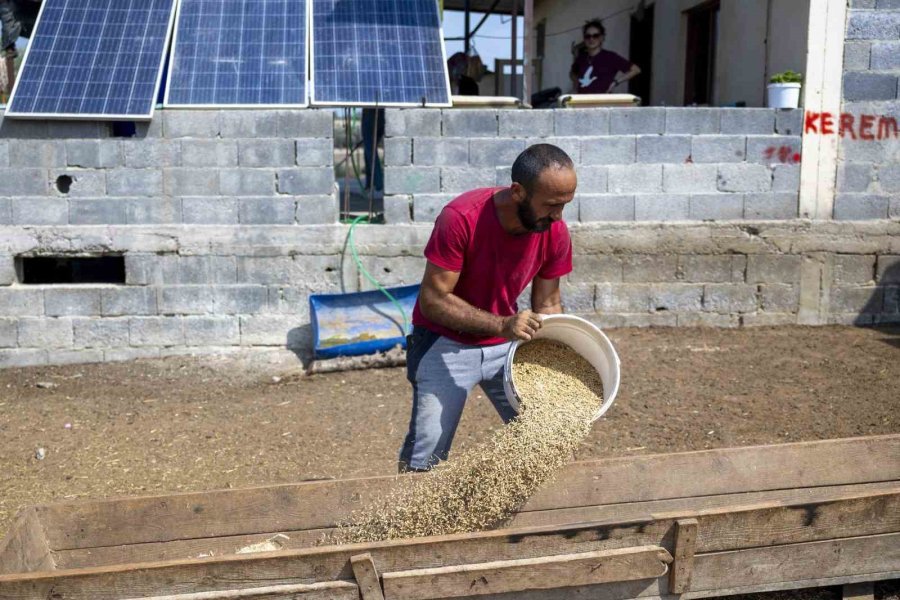 Mersin’de Küçükbaş Hayvan Ve Yem Desteği Üreticilerin Yüzünü Güldürdü
