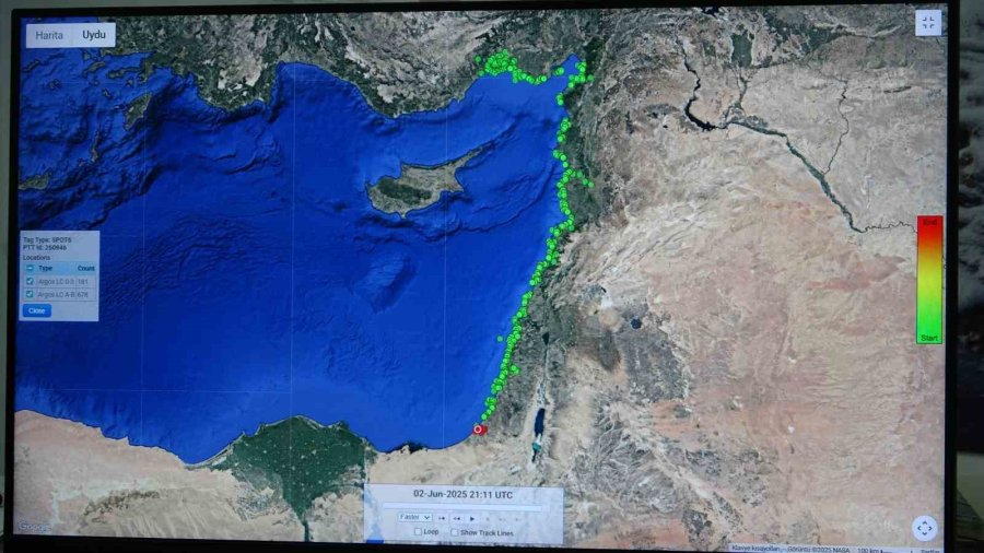 ‘kızkalesi’ Kaplumbağası Gazze’de Kayboldu, Sonra Yeniden Karada Ortaya Çıktı