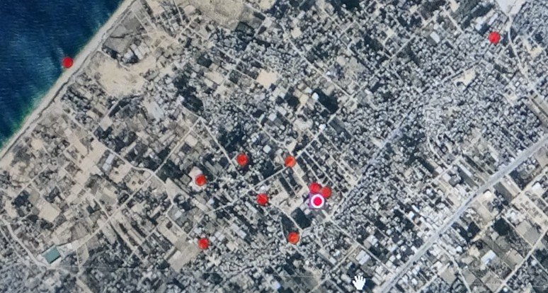 ‘kızkalesi’ Kaplumbağası Gazze’de Kayboldu, Sonra Yeniden Karada Ortaya Çıktı