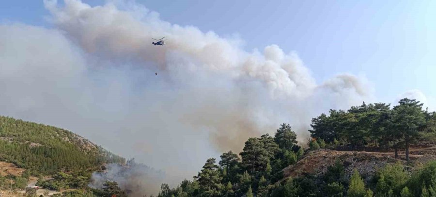 Mersin’deki Orman Yangını: 5 İlden Takviye Geldi Ekiplerin Müdahalesi Sürüyor
