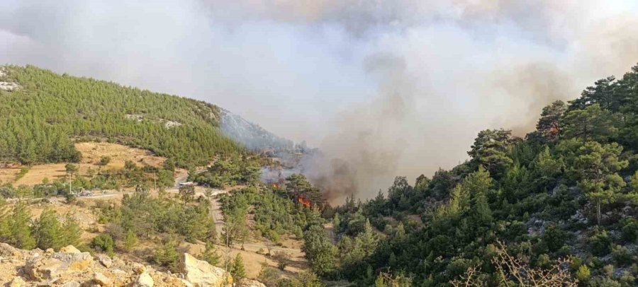 Mersin’deki Orman Yangını: 5 İlden Takviye Geldi Ekiplerin Müdahalesi Sürüyor