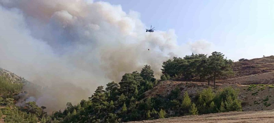 Mersin’deki Orman Yangını: 5 İlden Takviye Geldi Ekiplerin Müdahalesi Sürüyor
