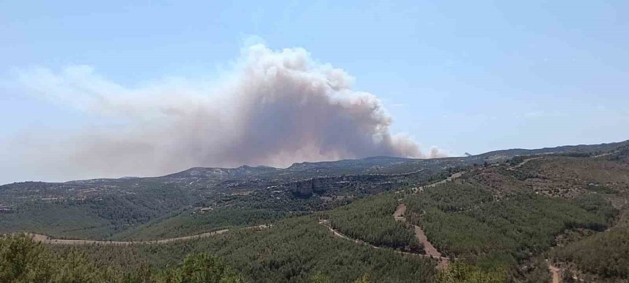 Mersin’de Orman Yangını