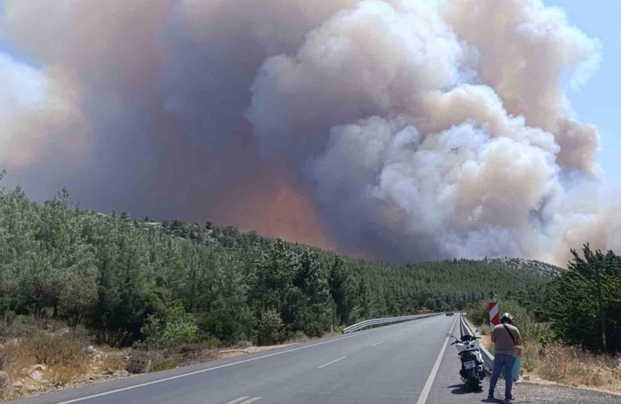 Mersin’de Orman Yangını