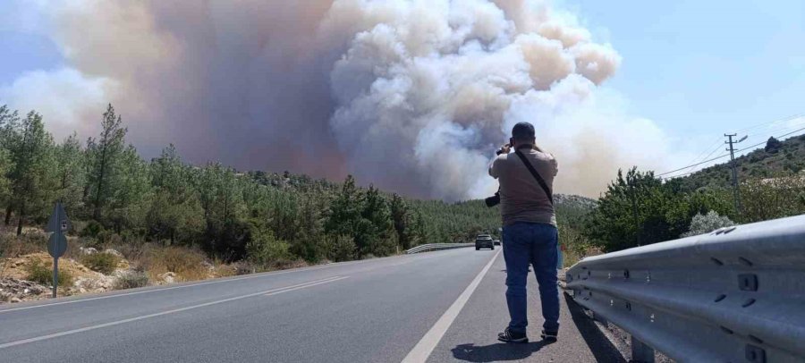 Mersin’de Orman Yangını