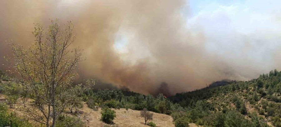 Mersin’de Orman Yangını