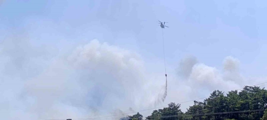Mersin’deki Orman Yangınında Evler Tedbiren Boşaltılıyor