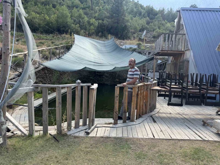 Akvaryum Sevgisini Yüzme Havuzuna Taşıdı