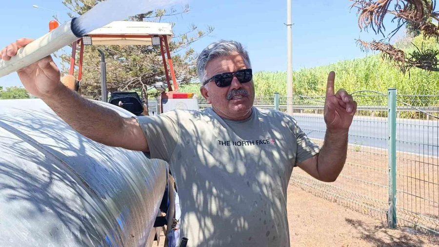 Refüjde Kurumaya Başlayan Ağaç Ve Bitkiler İçin Mahalleli Su Tankerleriyle Seferber Oldu