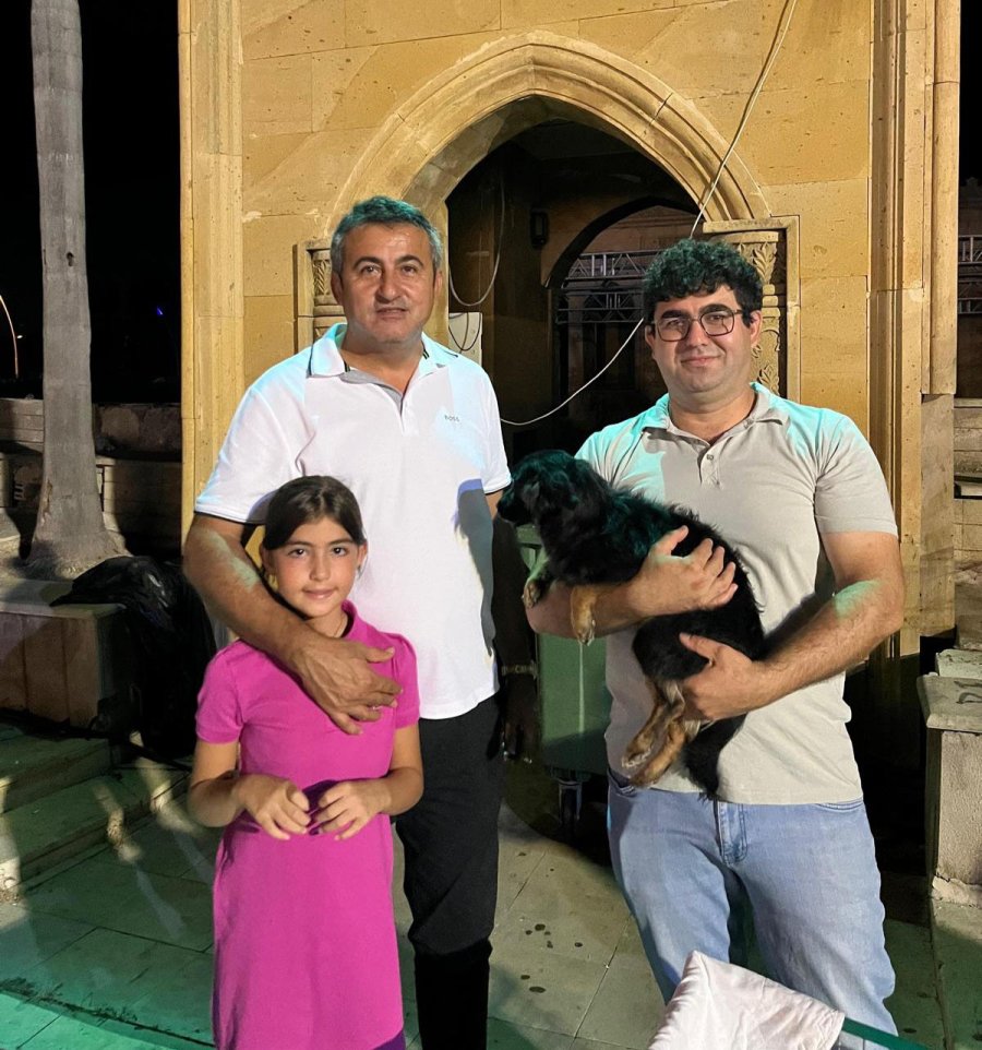 İki Konserde 15 Evcil Hayvan Sahiplendirildi