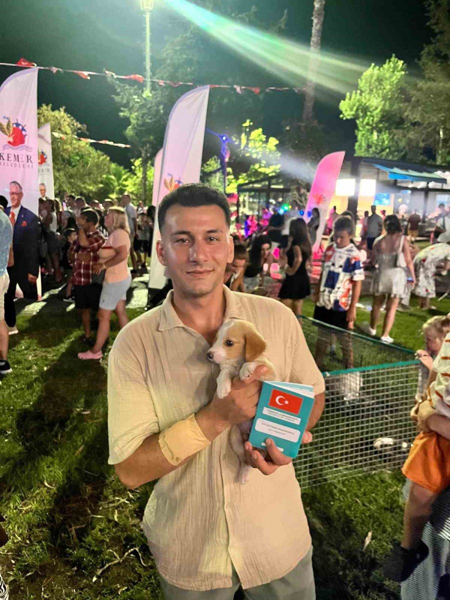 İki Konserde 15 Evcil Hayvan Sahiplendirildi