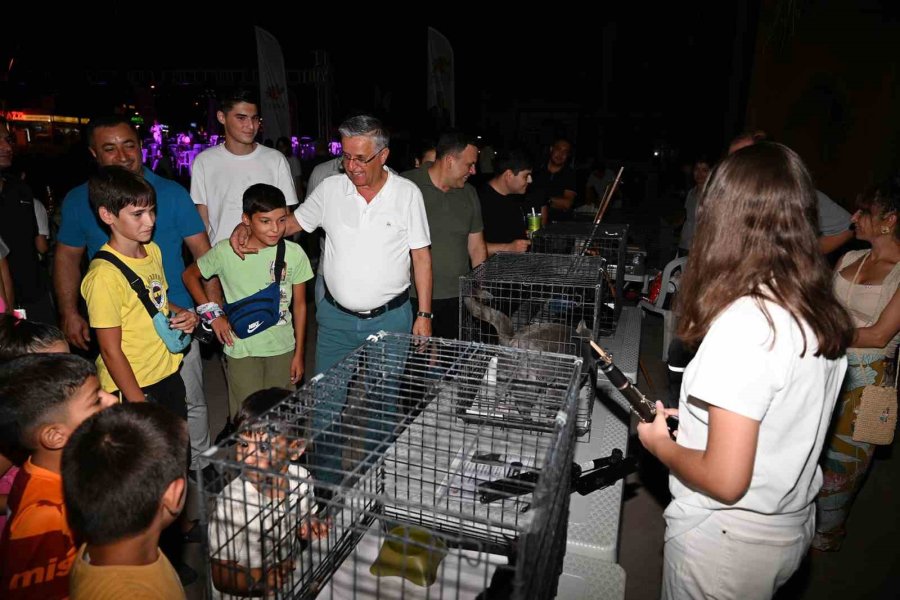 Kemer’de Sokak Hayvanları Yararına İkinci Konser