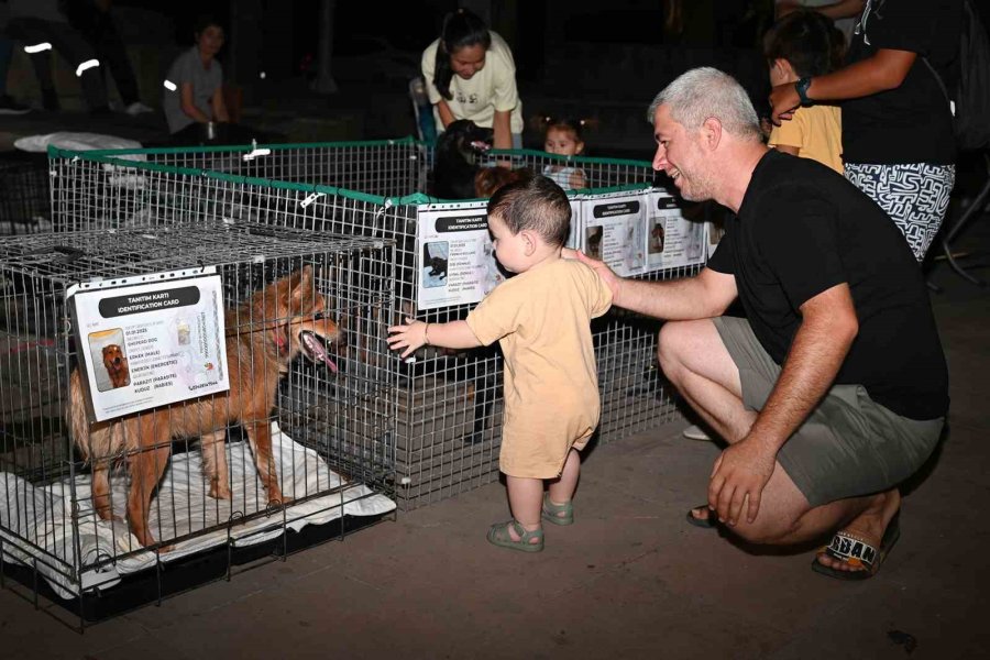 Kemer’de Sokak Hayvanları Yararına İkinci Konser