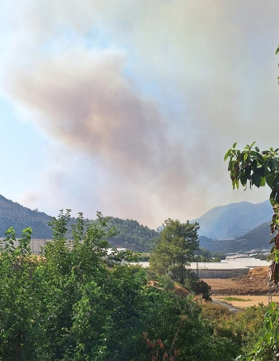 Mersin’de İkinci Orman Yangını