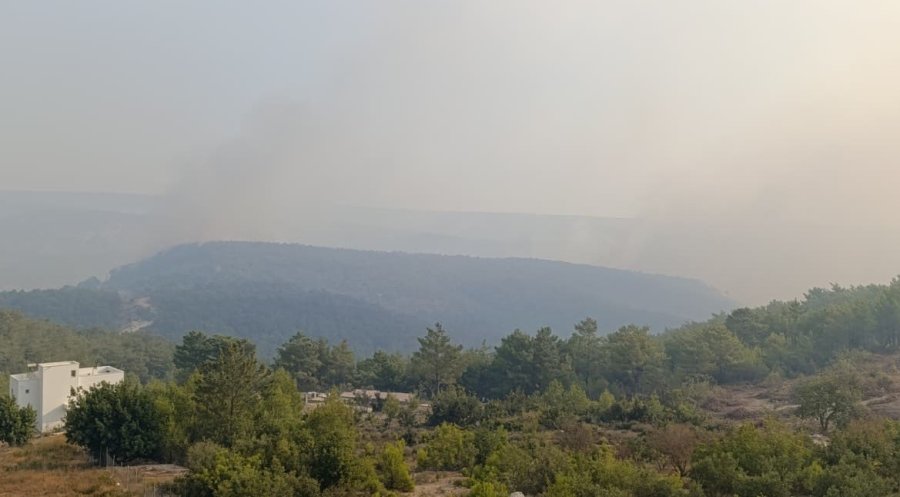 Mersin’deki Orman Yangını 2. Gününde