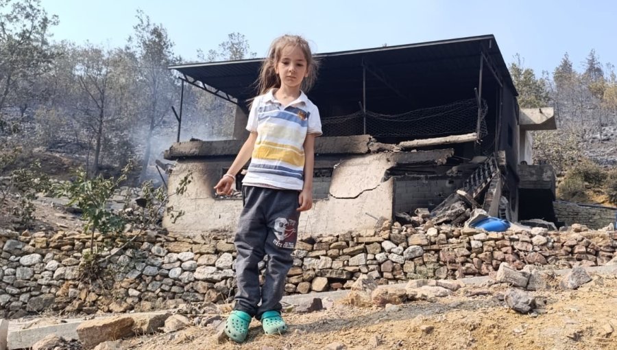 Mersin’de Orman Yangınında Evler Yandı, Hayvanlar Telef Oldu