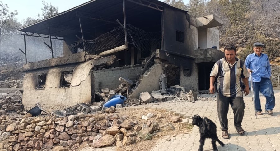 Mersin’de Orman Yangınında Evler Yandı, Hayvanlar Telef Oldu