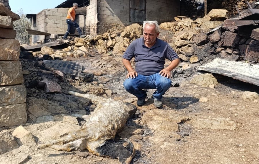 Mersin’de Orman Yangınında Evler Yandı, Hayvanlar Telef Oldu