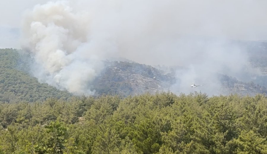 Vali Toros, Mersin’deki Orman Yangınları İle İlgili Bilgi Verdi