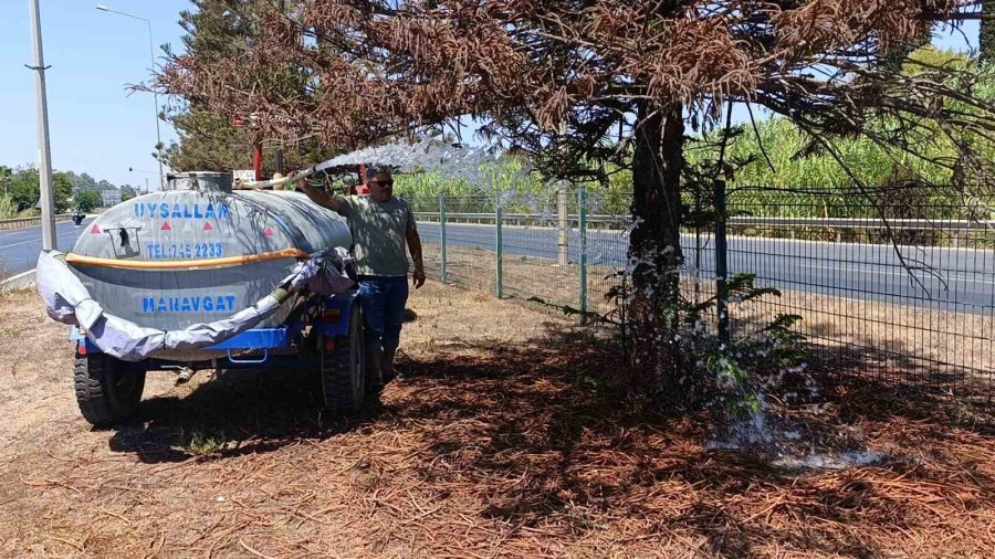 Refüjde Kurumaya Başlayan Ağaç Ve Bitkiler İçin Mahalleli Su Tankerleriyle Seferber Oldu