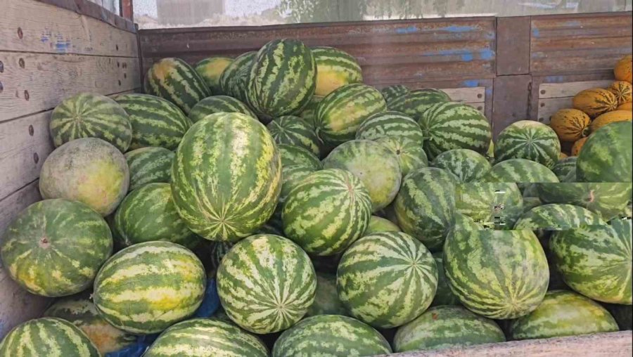 Aksaray’ın Kavun Ve Karpuzu Lezzetiyle İlgi Görüyor